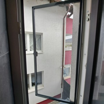 Plase insecte tip balama