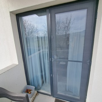 Plase insecte tip balama