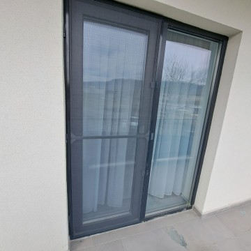 Plase insecte tip balama